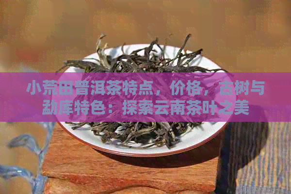 小荒田普洱茶特点，价格，古树与勐库特色：探索云南茶叶之美