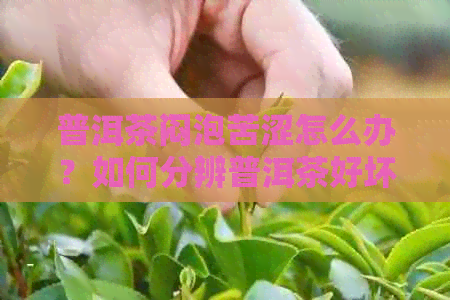 普洱茶闷泡苦涩怎么办？如何分辨普洱茶好坏？