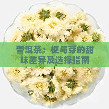 普洱茶：梗与芽的甜味差异及选择指南