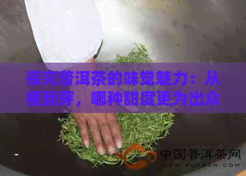 探究普洱茶的味觉魅力：从梗到芽，哪种甜度更为出众？