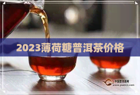 2023薄荷糖普洱茶价格