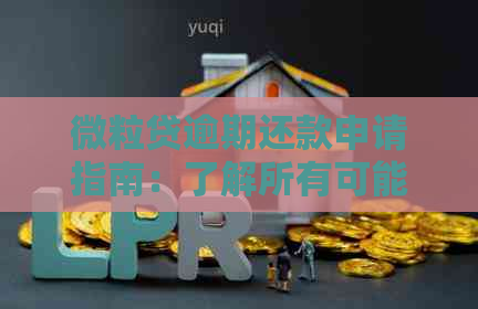 微粒贷逾期还款申请指南：了解所有可能的申请条件和解决方法