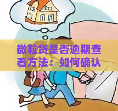 微粒贷是否逾期查看方法：如何确认自己的还款记录？