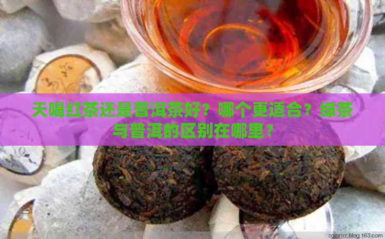 天喝红茶还是普洱茶好？哪个更适合？绿茶与普洱的区别在哪里？