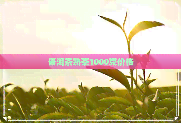 普洱茶熟茶1000克价格