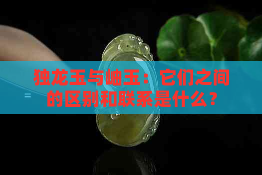 独龙玉与岫玉：它们之间的区别和联系是什么？