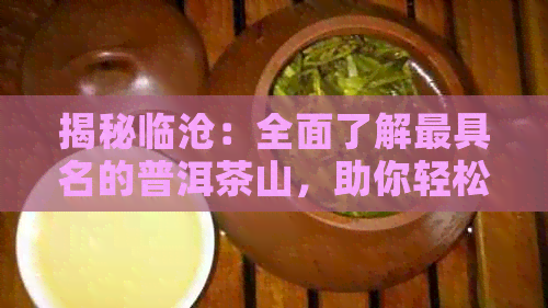 揭秘临沧：全面了解更具名的普洱茶山，助你轻松挑选最适合的茶叶