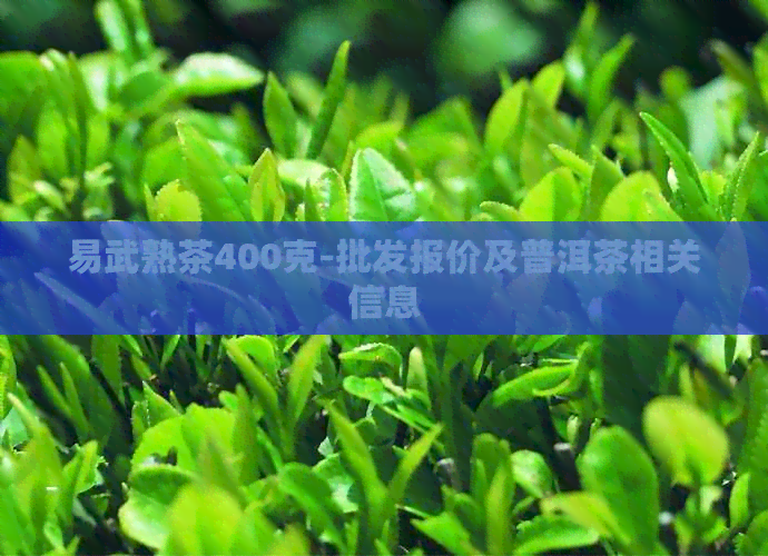 易武熟茶400克-批发报价及普洱茶相关信息