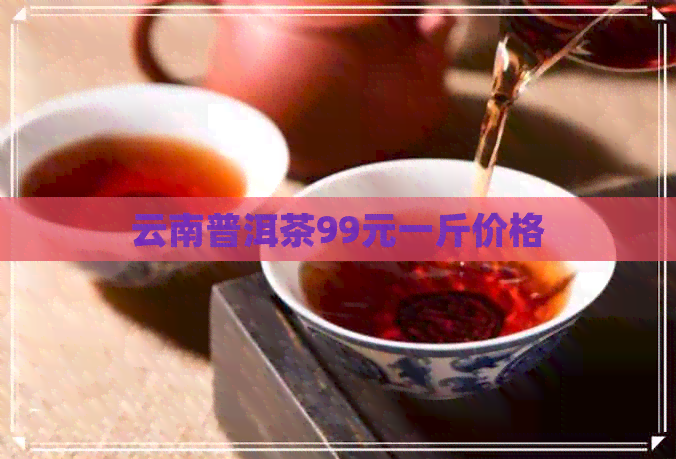 云南普洱茶99元一斤价格