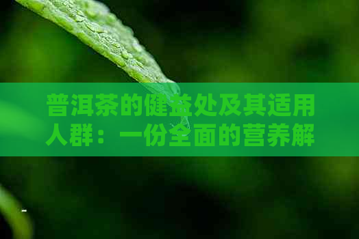 普洱茶的健益处及其适用人群：一份全面的营养解析