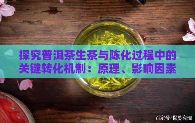 探究普洱茶生茶与陈化过程中的关键转化机制：原理、影响因素及品鉴技巧