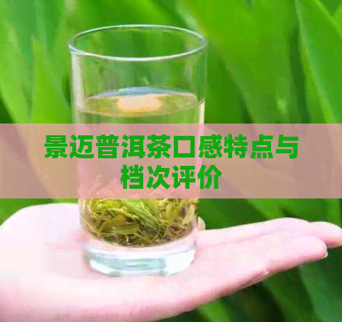 景迈普洱茶口感特点与档次评价