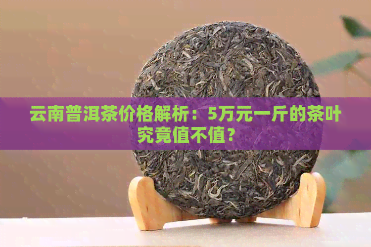 云南普洱茶价格解析：5万元一斤的茶叶究竟值不值？