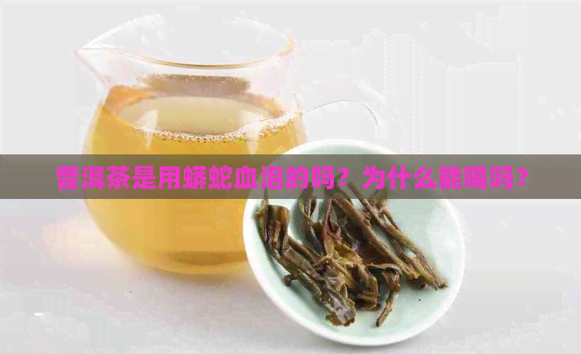 普洱茶是用蟒蛇血泡的吗？为什么能喝吗？