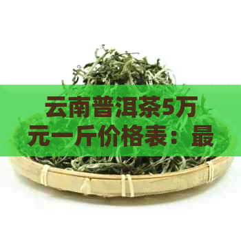 云南普洱茶5万元一斤价格表：最新云南普洱茶价格