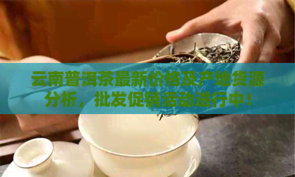 云南普洱茶最新价格及产地货源分析，批发促销活动进行中！