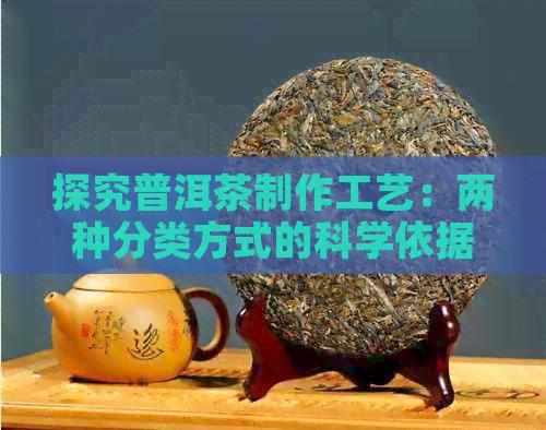 探究普洱茶制作工艺：两种分类方式的科学依据