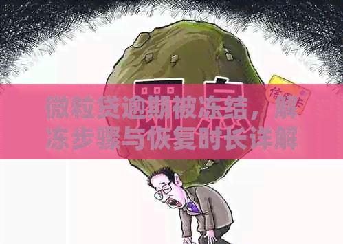 微粒贷逾期被冻结，解冻步骤与恢复时长详解，零钱、支付宝如何处理？