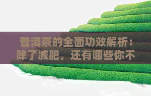 普洱茶的全面功效解析：除了减肥，还有哪些你不知道的作用？