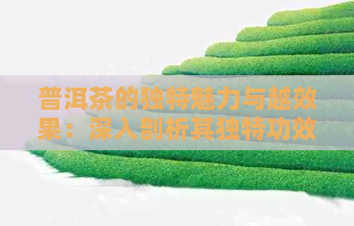 普洱茶的独特魅力与越效果：深入剖析其独特功效与作用