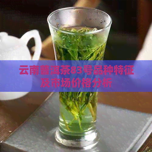 云南普洱茶83号品种特征及市场价格分析