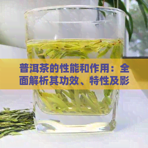 普洱茶的性能和作用：全面解析其功效、特性及影响