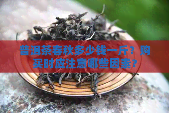 普洱茶春秋多少钱一斤？购买时应注意哪些因素？