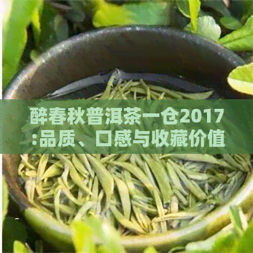 醉春秋普洱茶一仓2017:品质、口感与收藏价值的全面解析