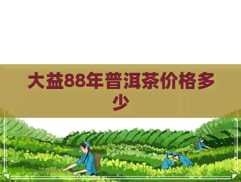 大益88年普洱茶价格多少