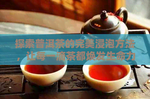 探索普洱茶的完美浸泡方法，让每一滴茶都焕发生命力