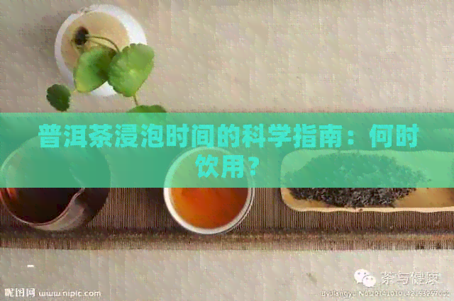 普洱茶浸泡时间的科学指南：何时饮用？