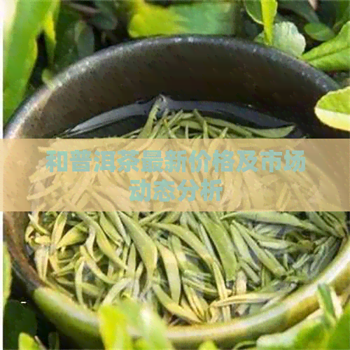 和普洱茶最新价格及市场动态分析