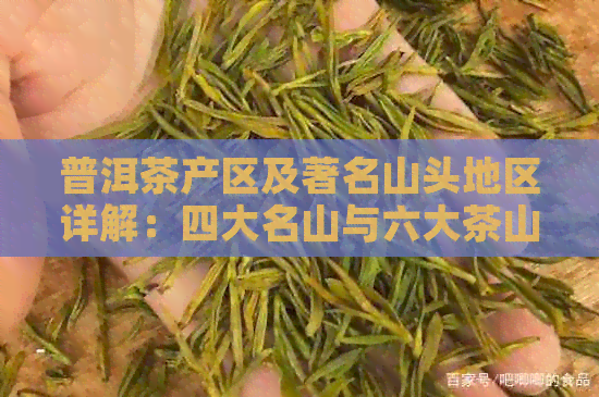 普洱茶产区及著名山头地区详解：四大名山与六大茶山的分布情况