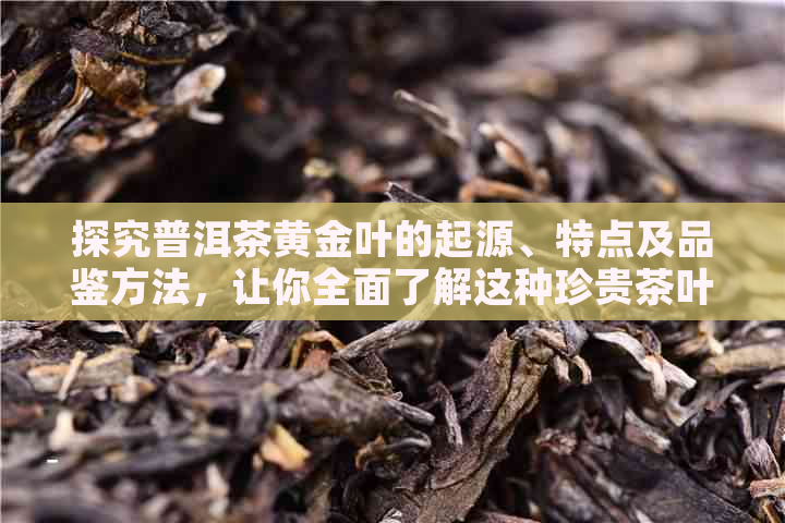 探究普洱茶黄金叶的起源、特点及品鉴方法，让你全面了解这种珍贵茶叶