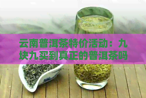 云南普洱茶特价活动：九块九买到真正的普洱茶吗？