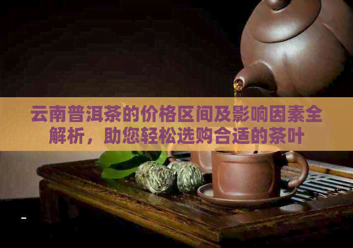 云南普洱茶的价格区间及影响因素全解析，助您轻松选购合适的茶叶