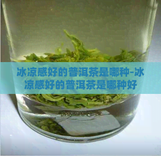 冰凉感好的普洱茶是哪种-冰凉感好的普洱茶是哪种好