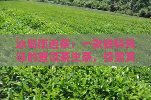 冰岛南迫茶：一款独特风味的普洱茶生茶，探索其越品质与适中价格