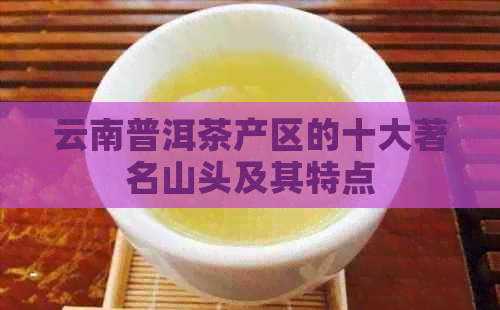 云南普洱茶产区的十大著名山头及其特点