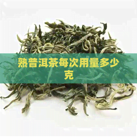 熟普洱茶每次用量多少克