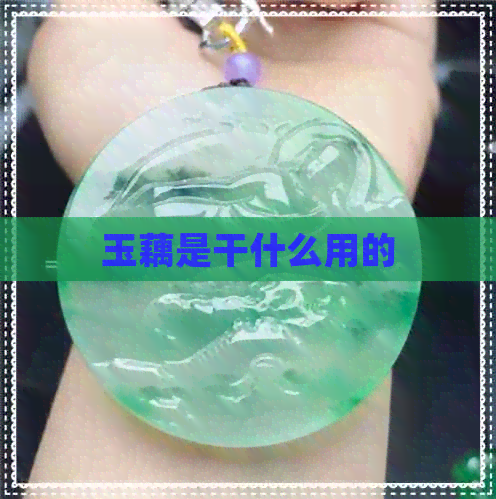 玉藕是干什么用的