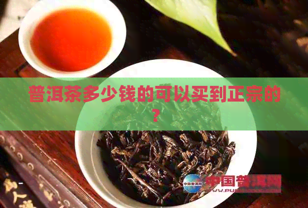 普洱茶多少钱的可以买到正宗的？