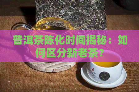 普洱茶陈化时间揭秘：如何区分新老茶？