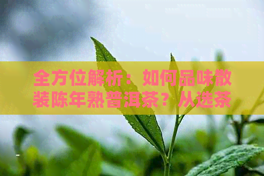 全方位解析：如何品味散装陈年熟普洱茶？从选茶到冲泡，一文解决所有疑问