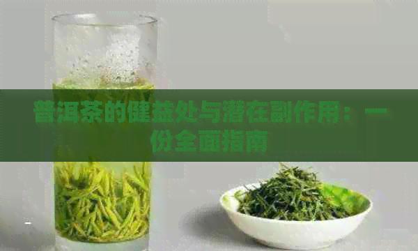 普洱茶的健益处与潜在副作用：一份全面指南