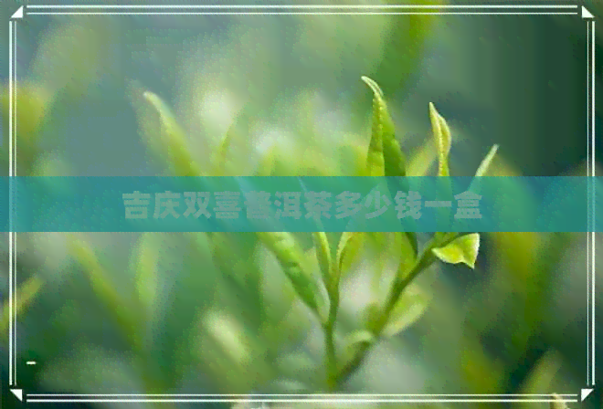 吉庆双喜普洱茶多少钱一盒