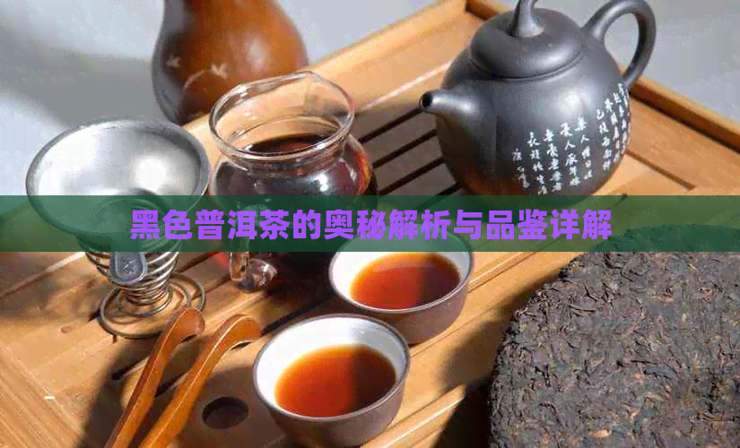 黑色普洱茶的奥秘解析与品鉴详解