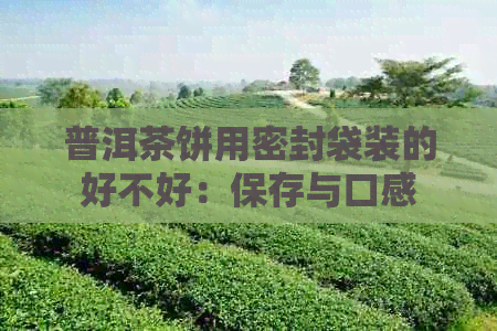 普洱茶饼用密封袋装的好不好：保存与口感