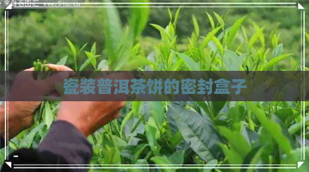 瓷装普洱茶饼的密封盒子