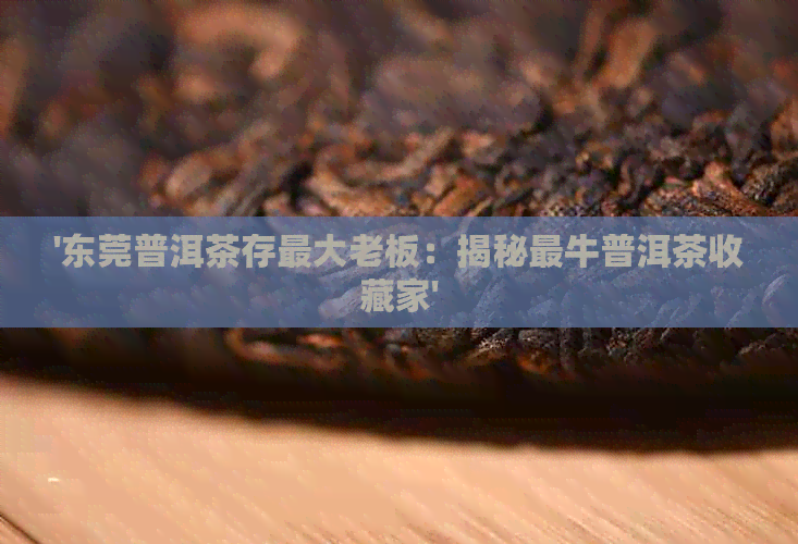 '东莞普洱茶存更大老板：揭秘最牛普洱茶收藏家'